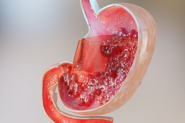 Role of saliva in the digestion of food